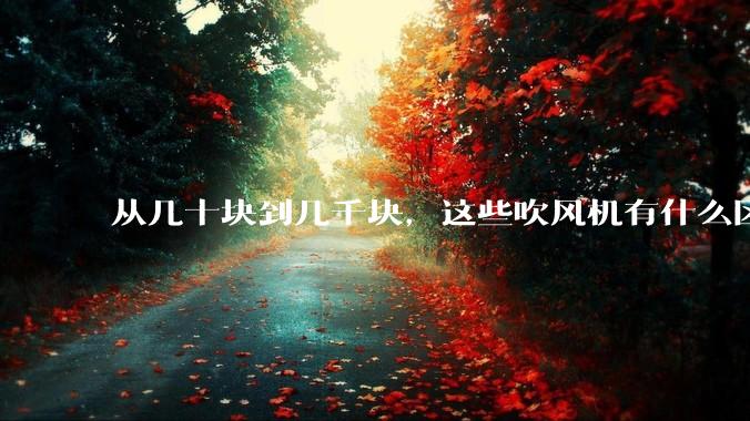 从几十块到几千块，这些吹风机有什么区别？有必要买贵的吗？