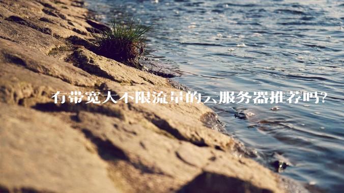 有带宽大不限流量的云服务器推荐吗？