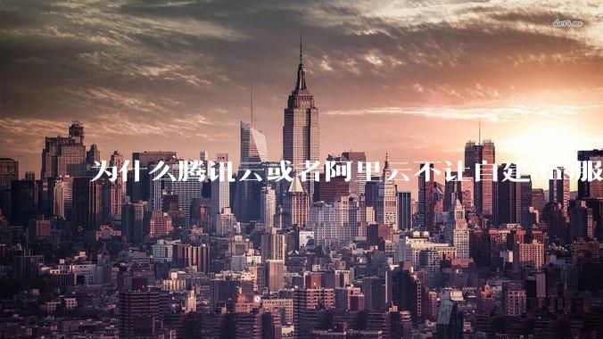 为什么腾讯云或者阿里云不让自建dns服务器?