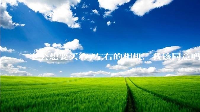 老公想要买2万左右的相机，我该同意吗？