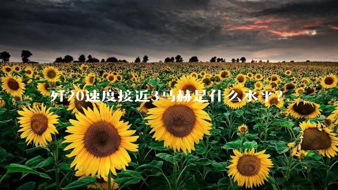 歼20速度接近3马赫是什么水平？