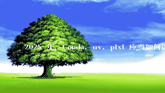 2025 年，Conda、uv、pixi 应当如何选择？